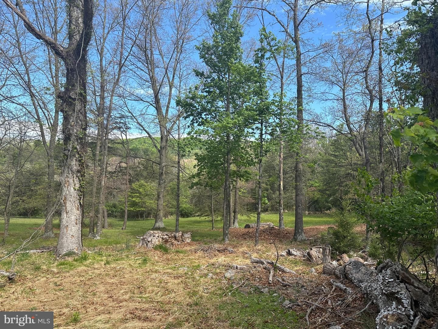 90 Shade Valley Road photo 38