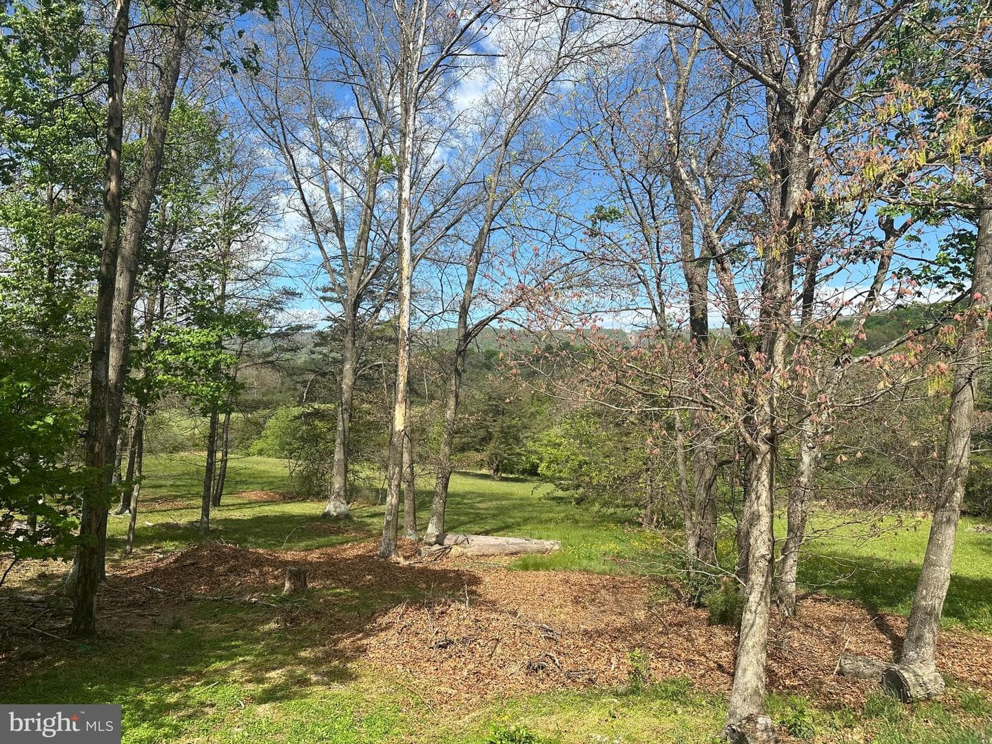 90 Shade Valley Road photo 40