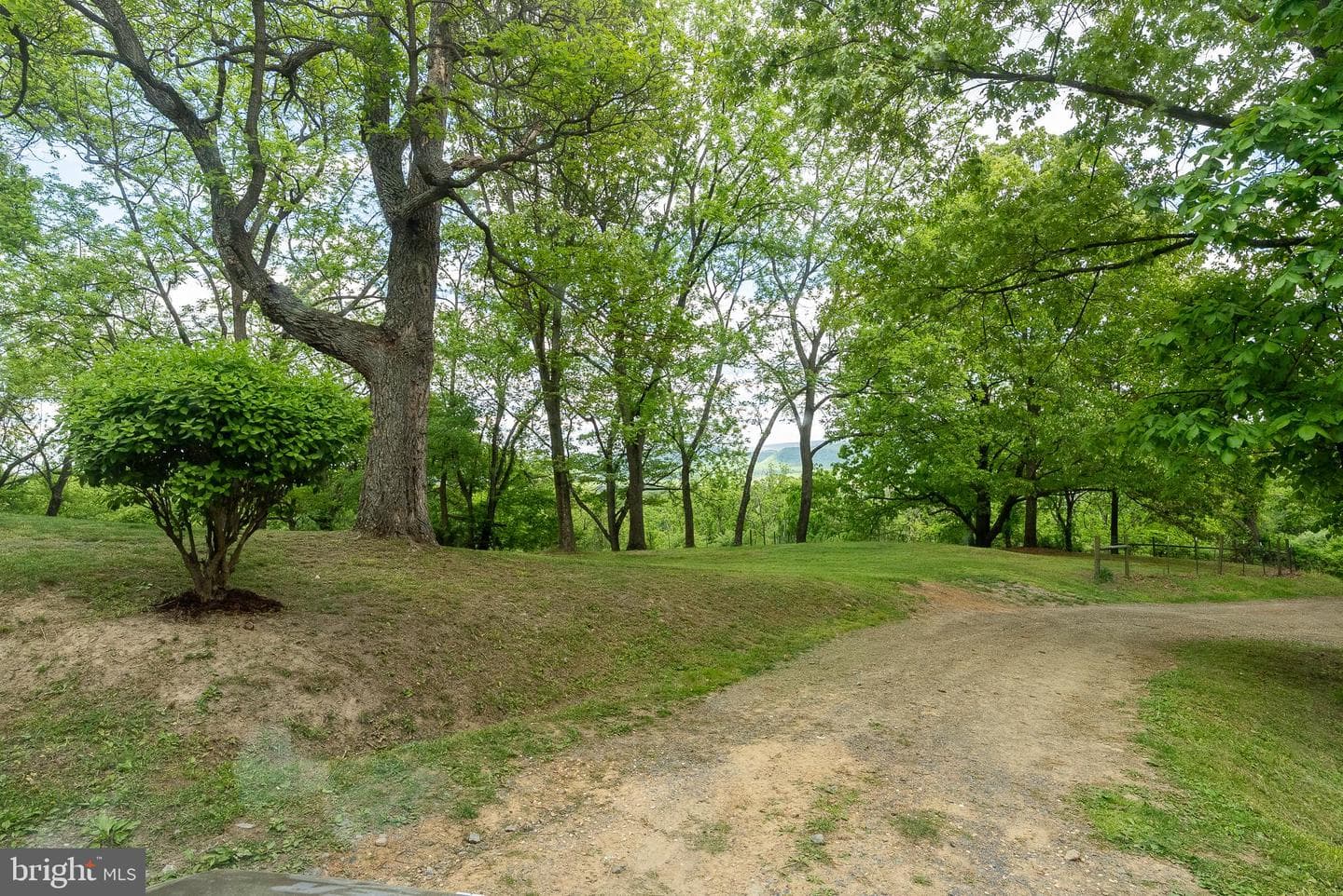 2598 Mountain View Road photo 6