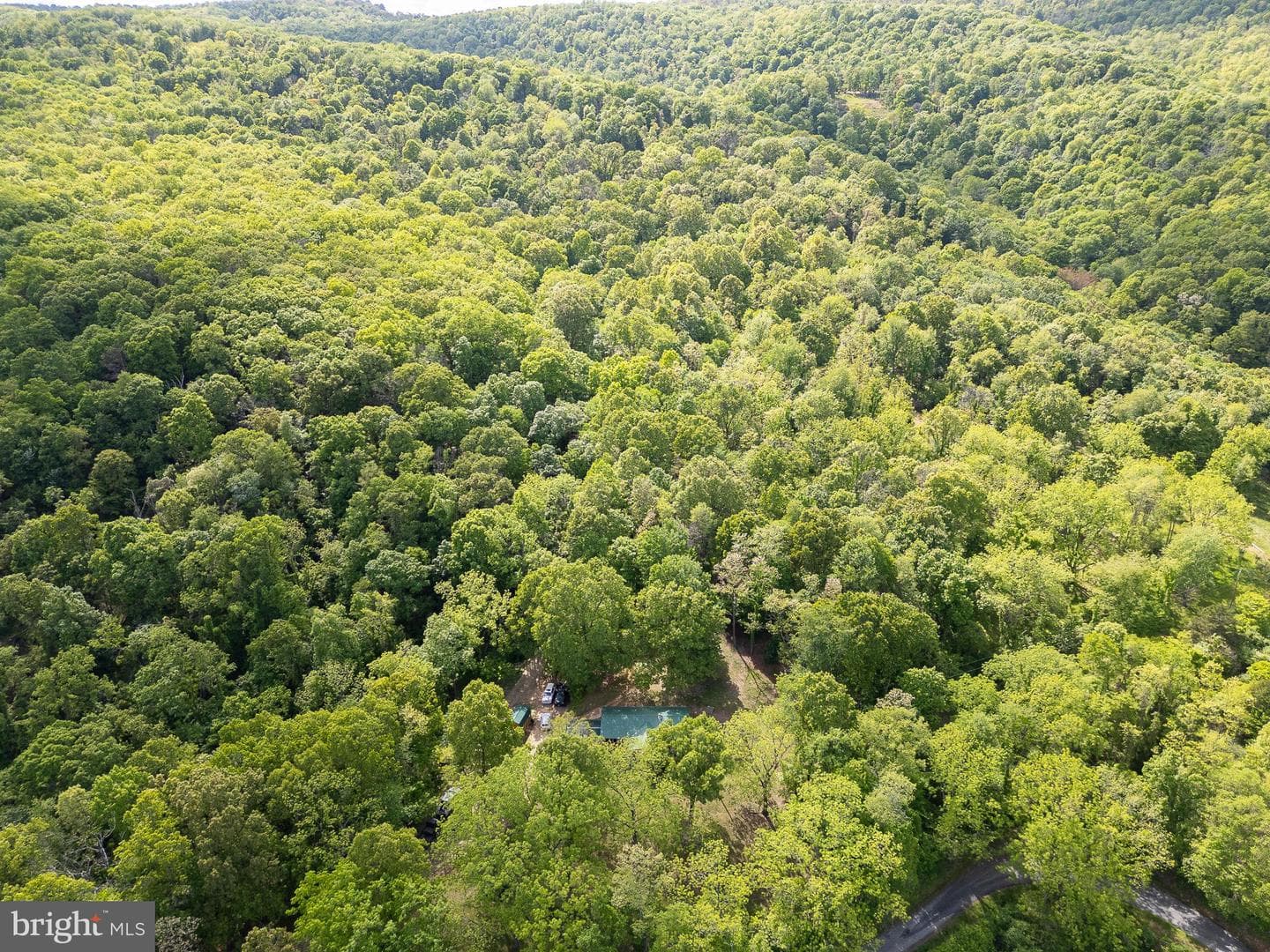 2598 Mountain View Road photo 63