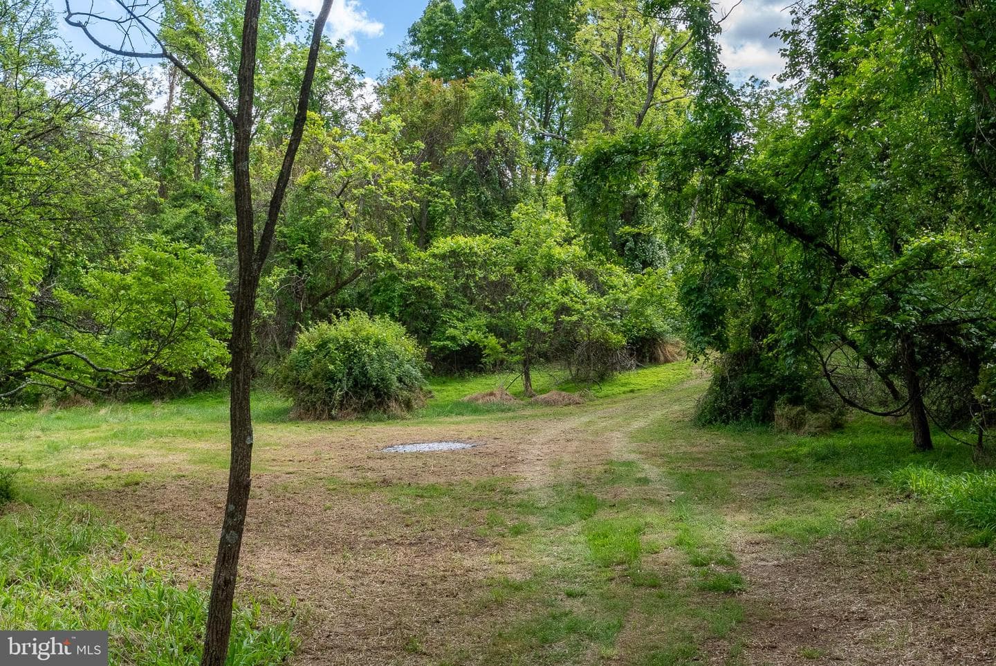 2598 Mountain View Road photo 68