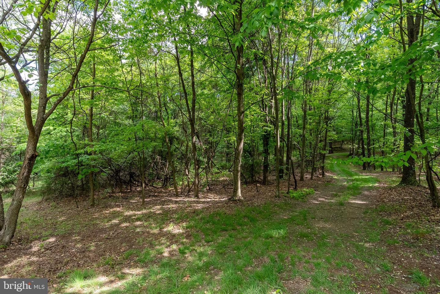 2598 Mountain View Road photo 73