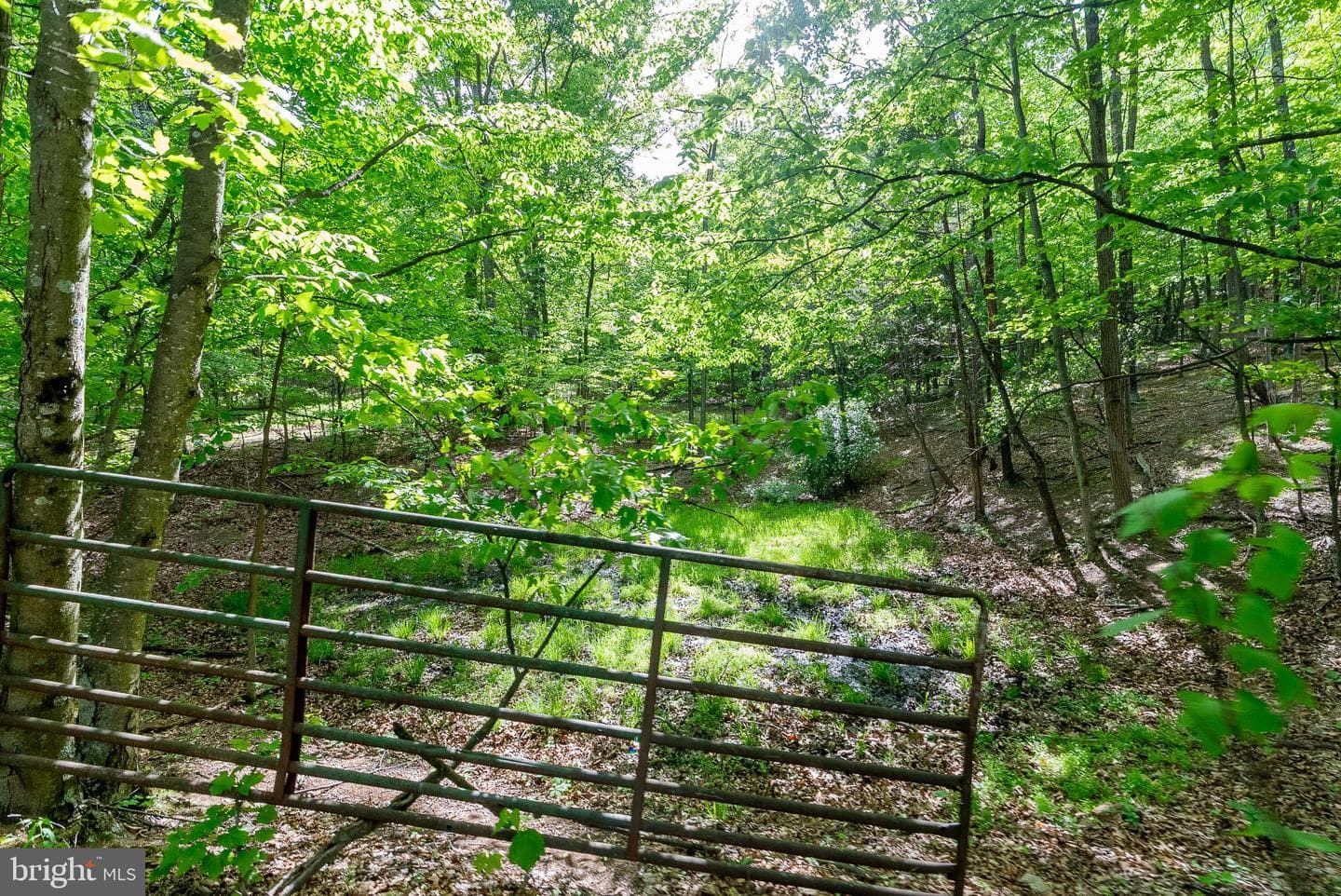 2598 Mountain View Road photo 74