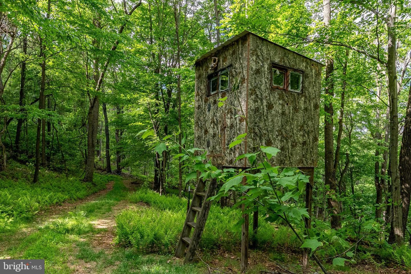 2598 Mountain View Road photo 80