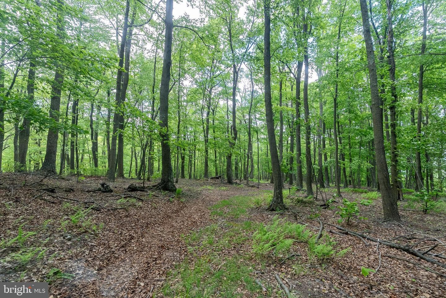 2598 Mountain View Road photo 81