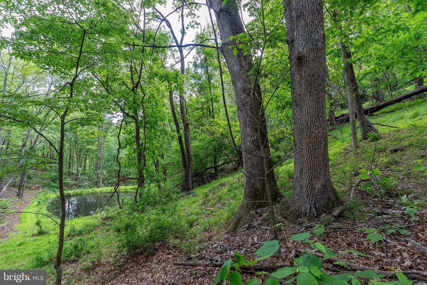 2598 Mountain View Road photo 83
