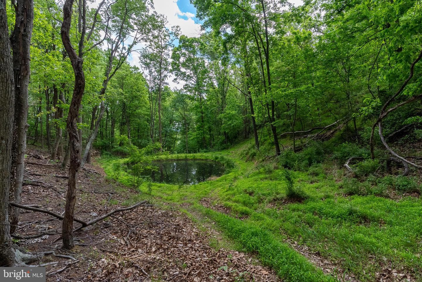 2598 Mountain View Road photo 84