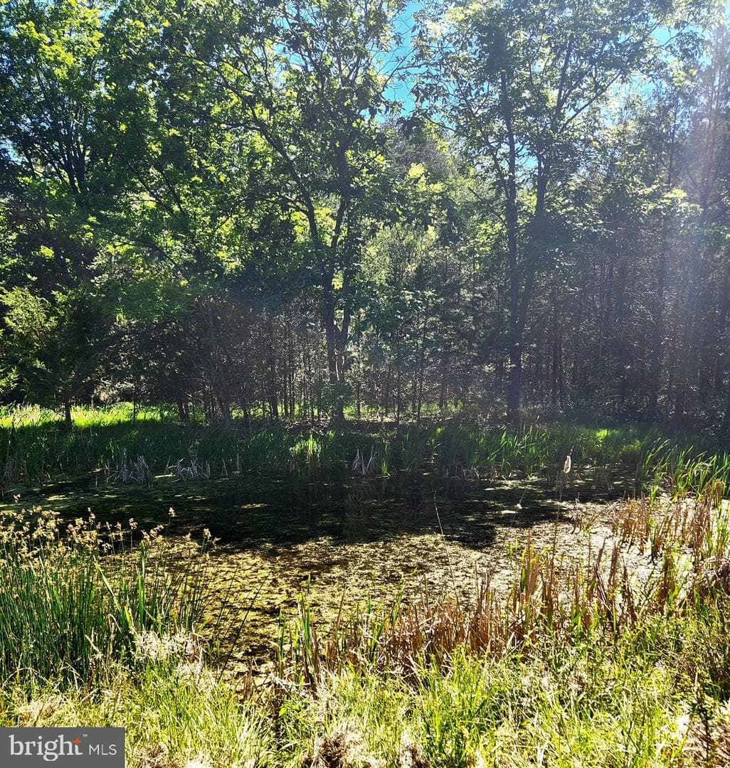 312 Tanager Drive photo 63