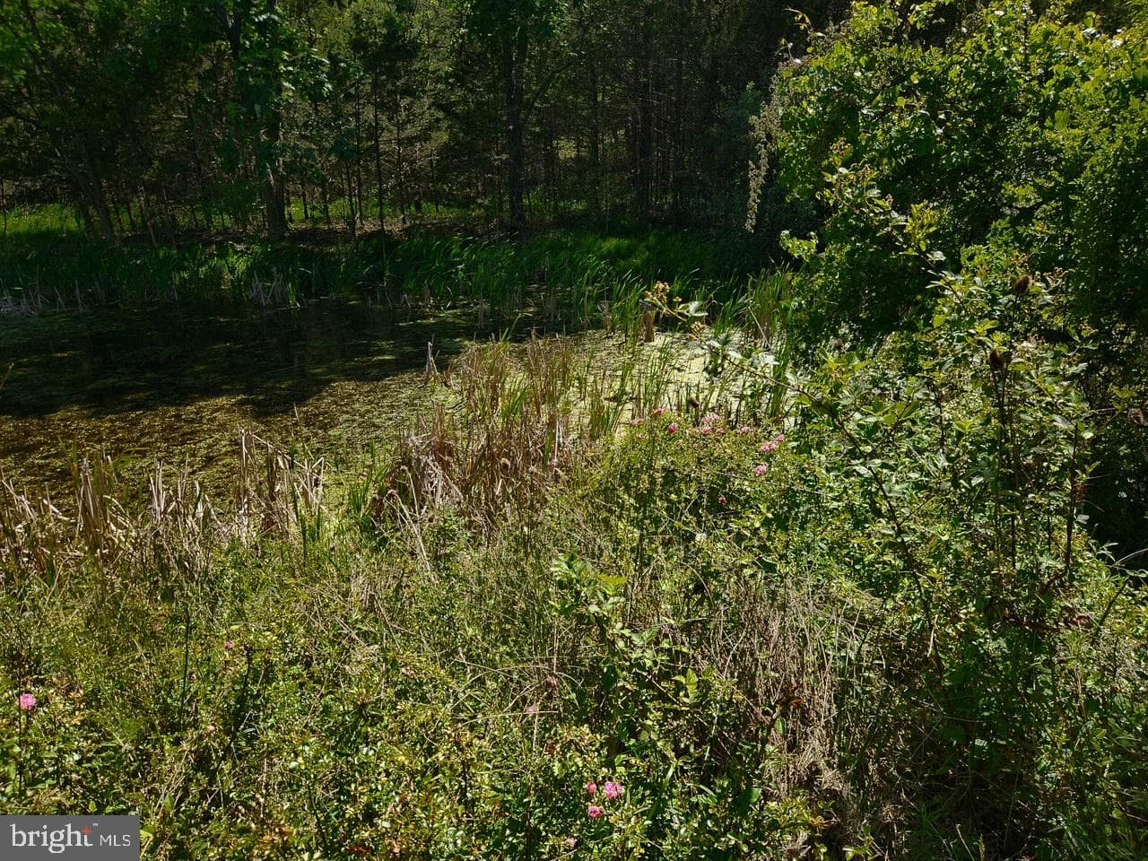 312 Tanager Drive photo 64