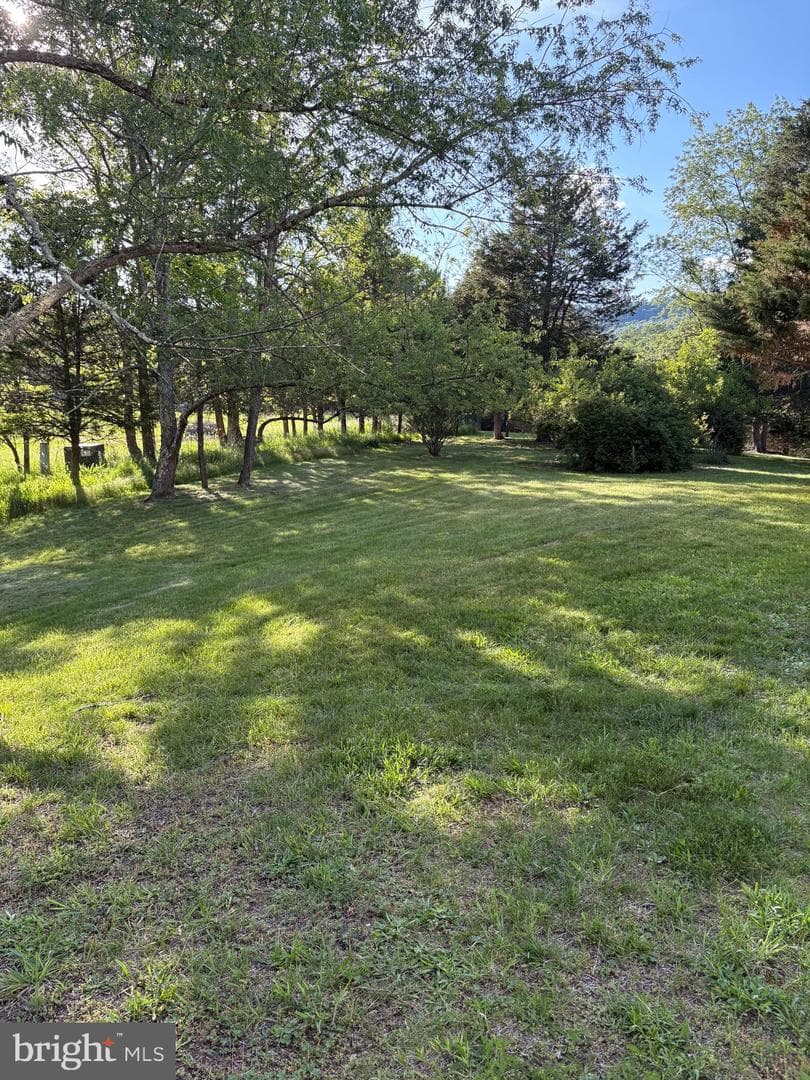 312 Tanager Drive photo 69