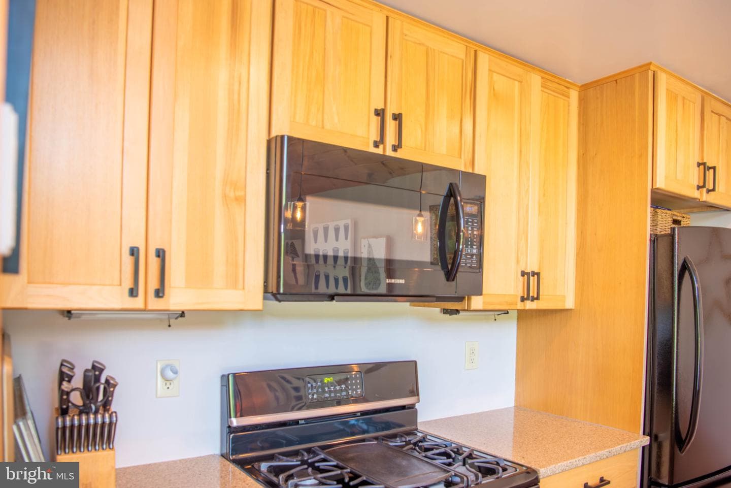 590 Whispering Pines Way photo 19