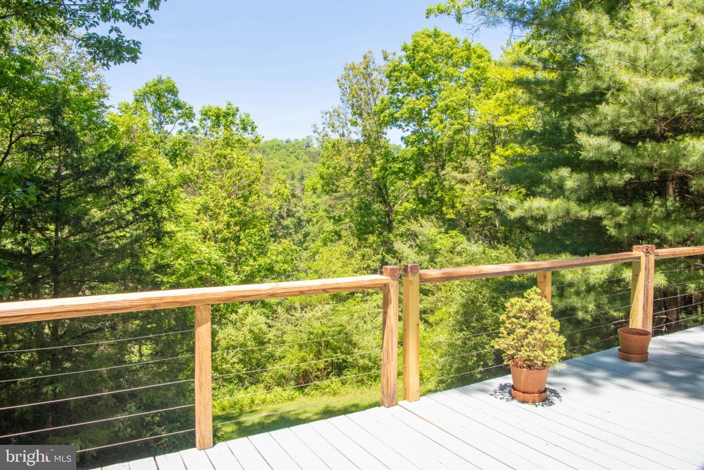 590 Whispering Pines Way photo 59