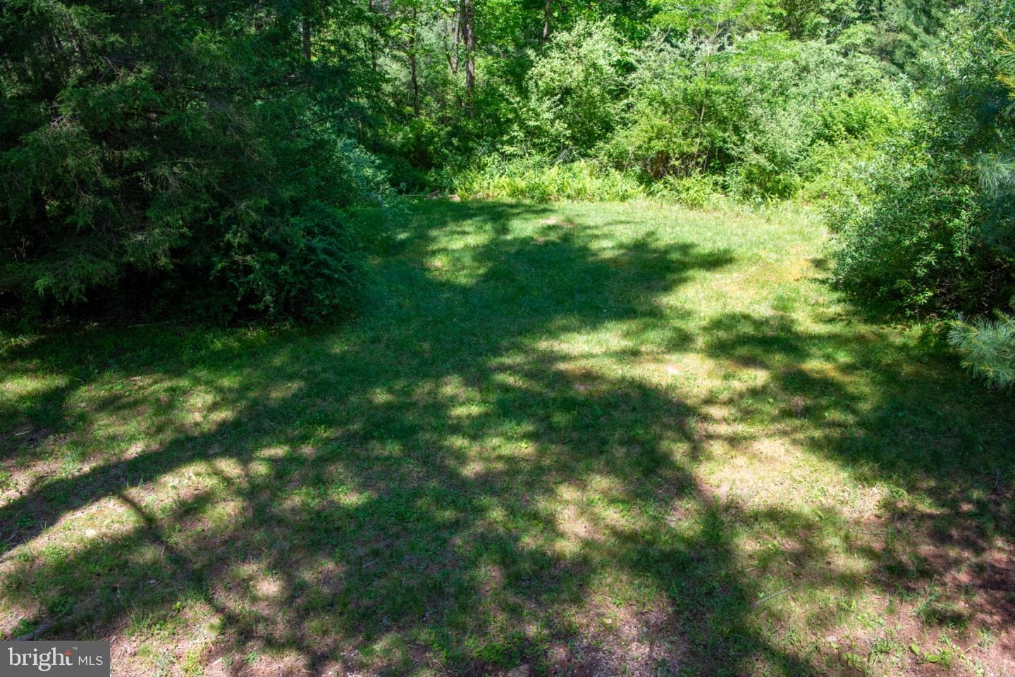 590 Whispering Pines Way photo 62