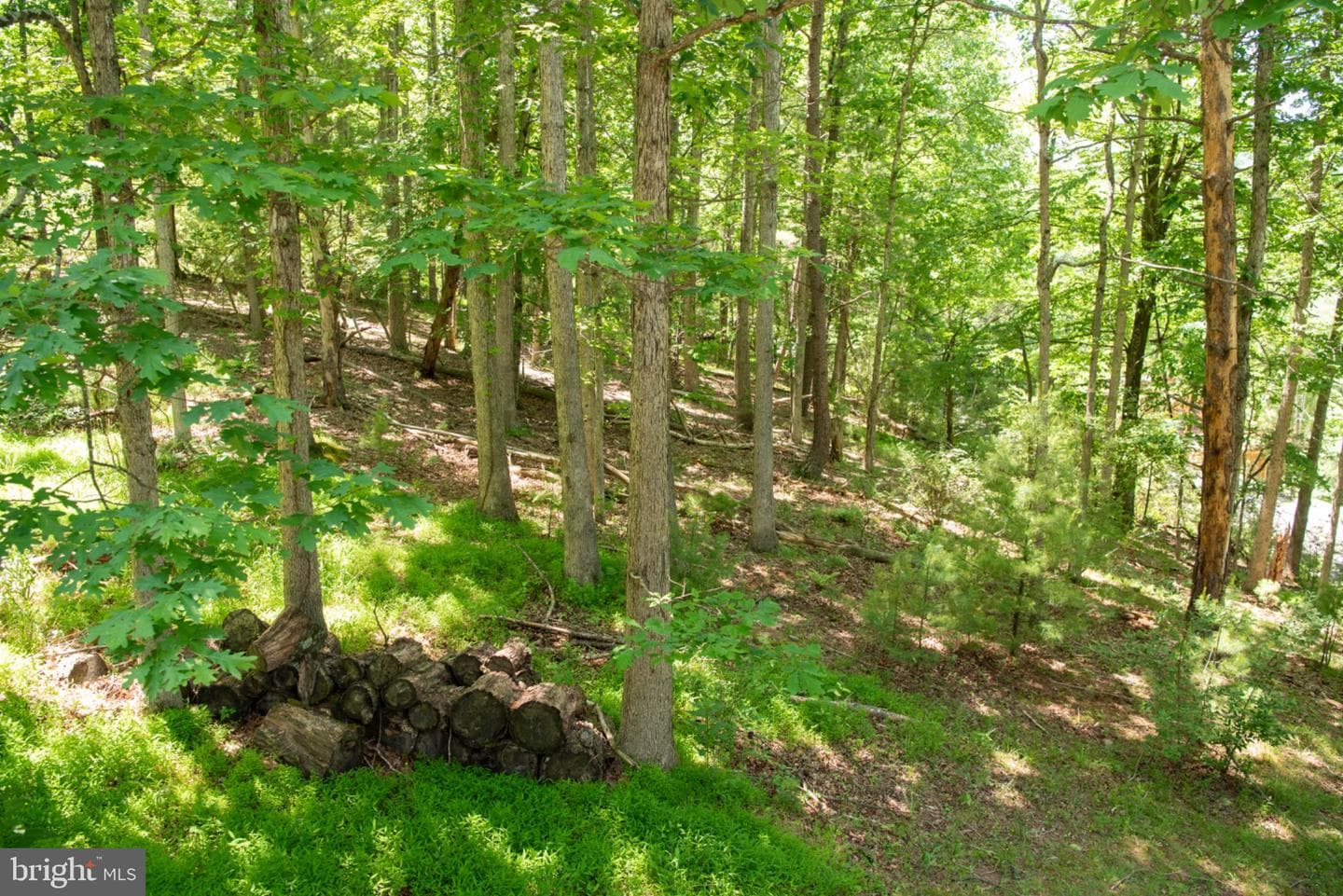 590 Whispering Pines Way photo 69