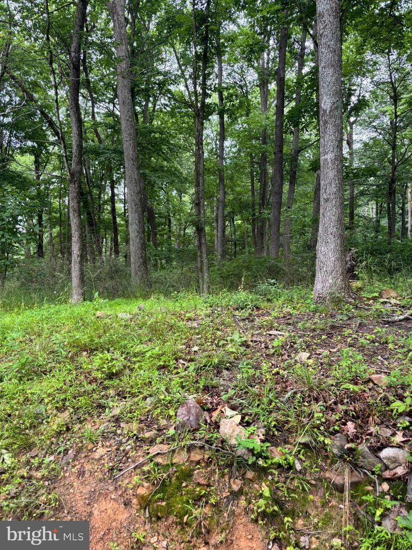 251 Riffey Mountain Lane photo 32