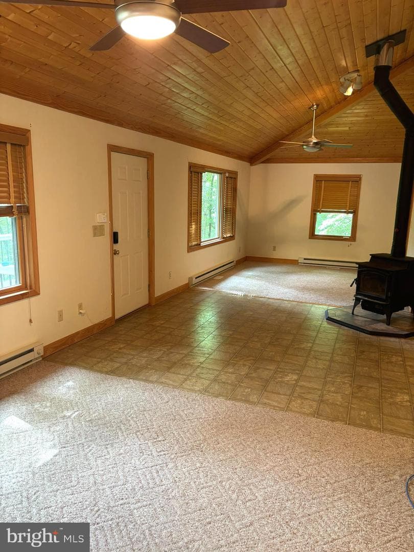 251 Riffey Mountain Lane photo 4
