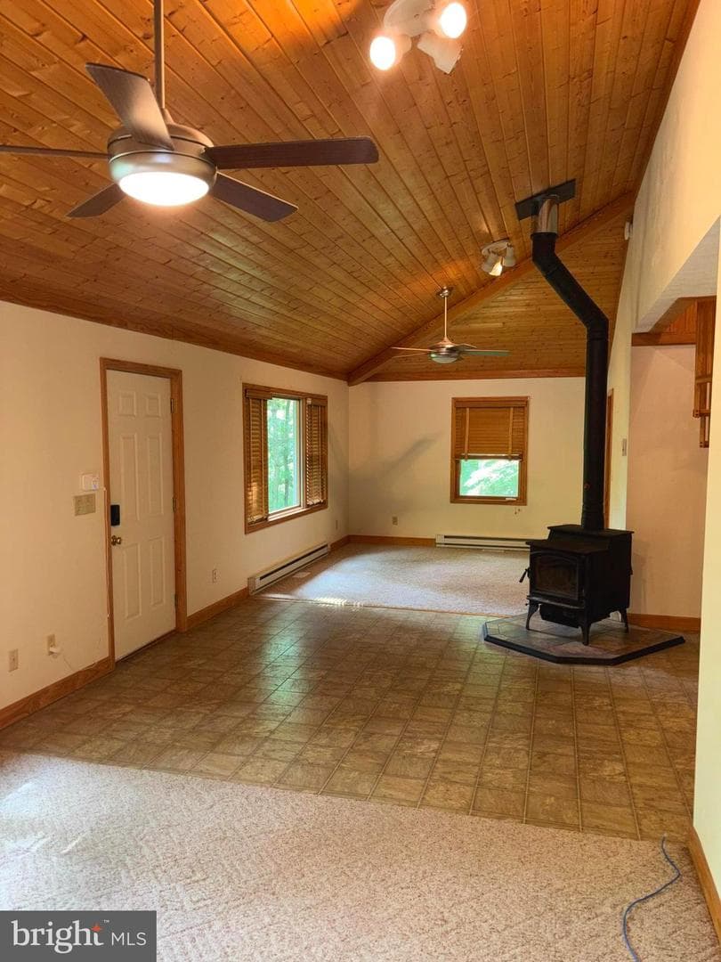 251 Riffey Mountain Lane photo 5