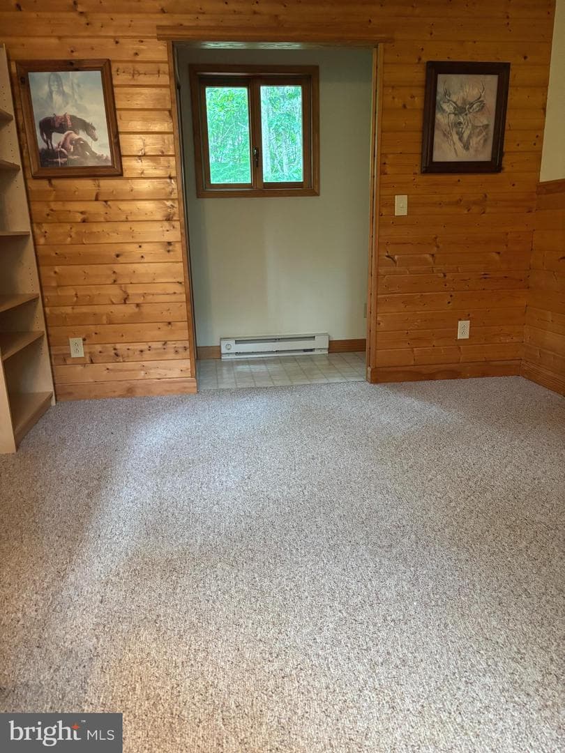 251 Riffey Mountain Lane photo 8