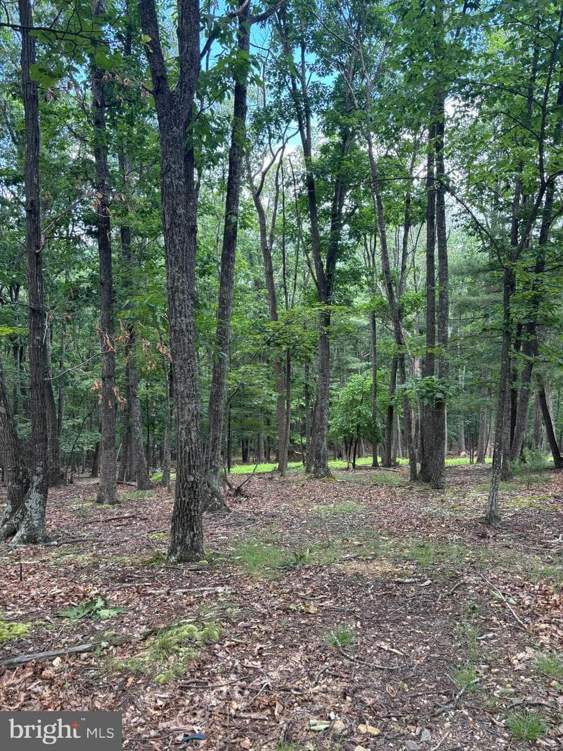 Cedarwood photo 31