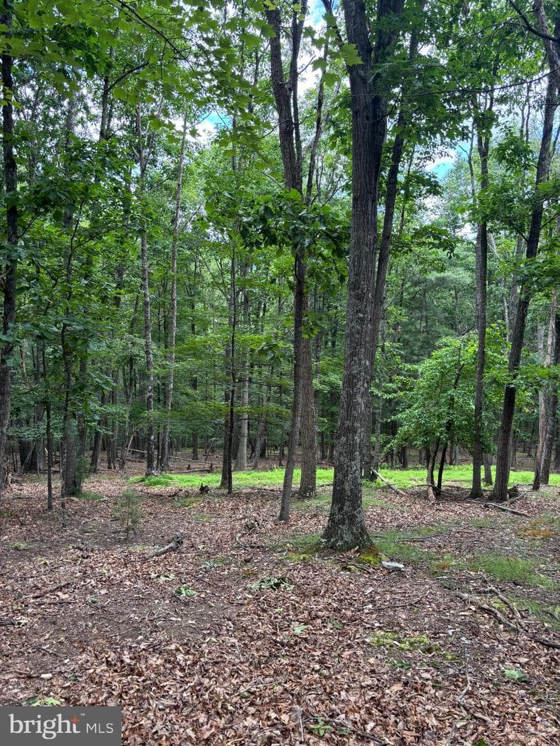 Cedarwood photo 33