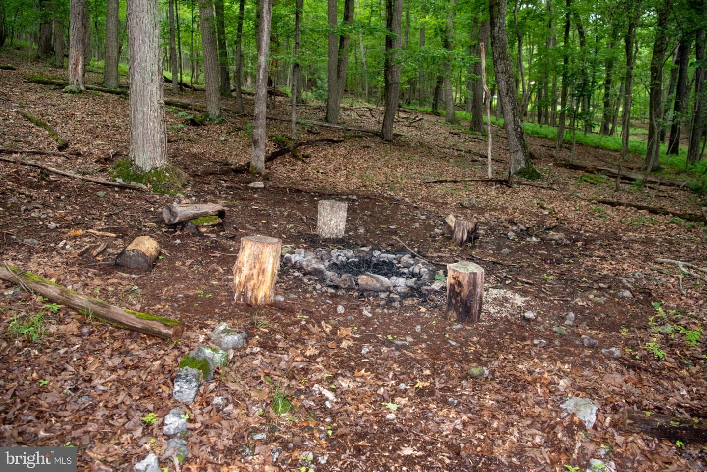 452 Wild Turkey Rdg photo 29