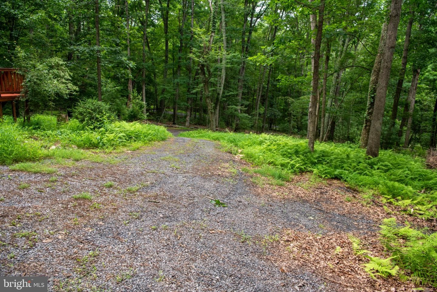 452 Wild Turkey Rdg photo 39