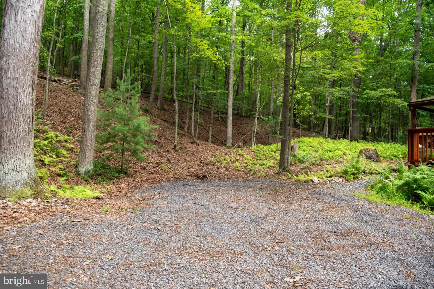 452 Wild Turkey Rdg photo 41