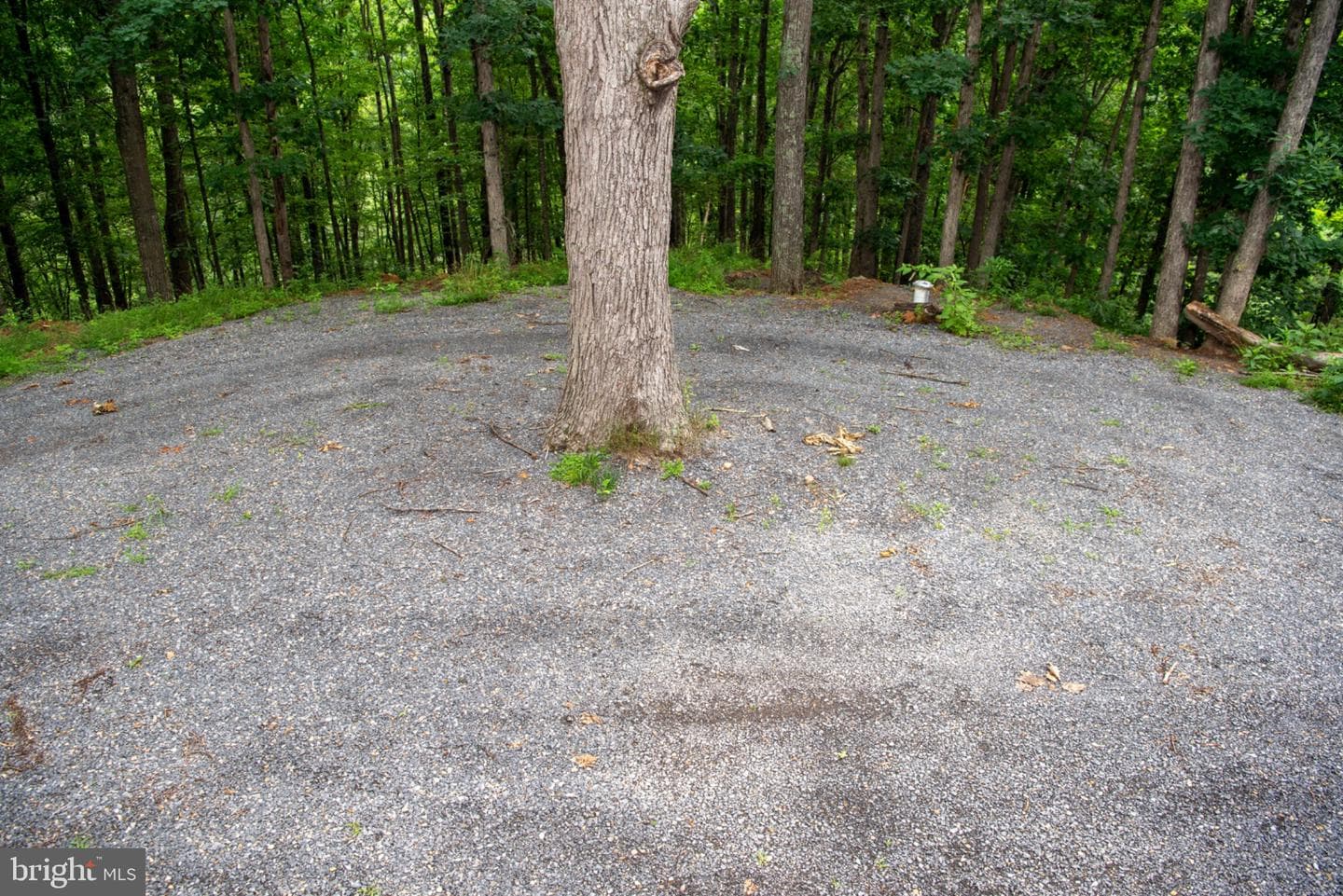 166 Kodiak Court photo 38