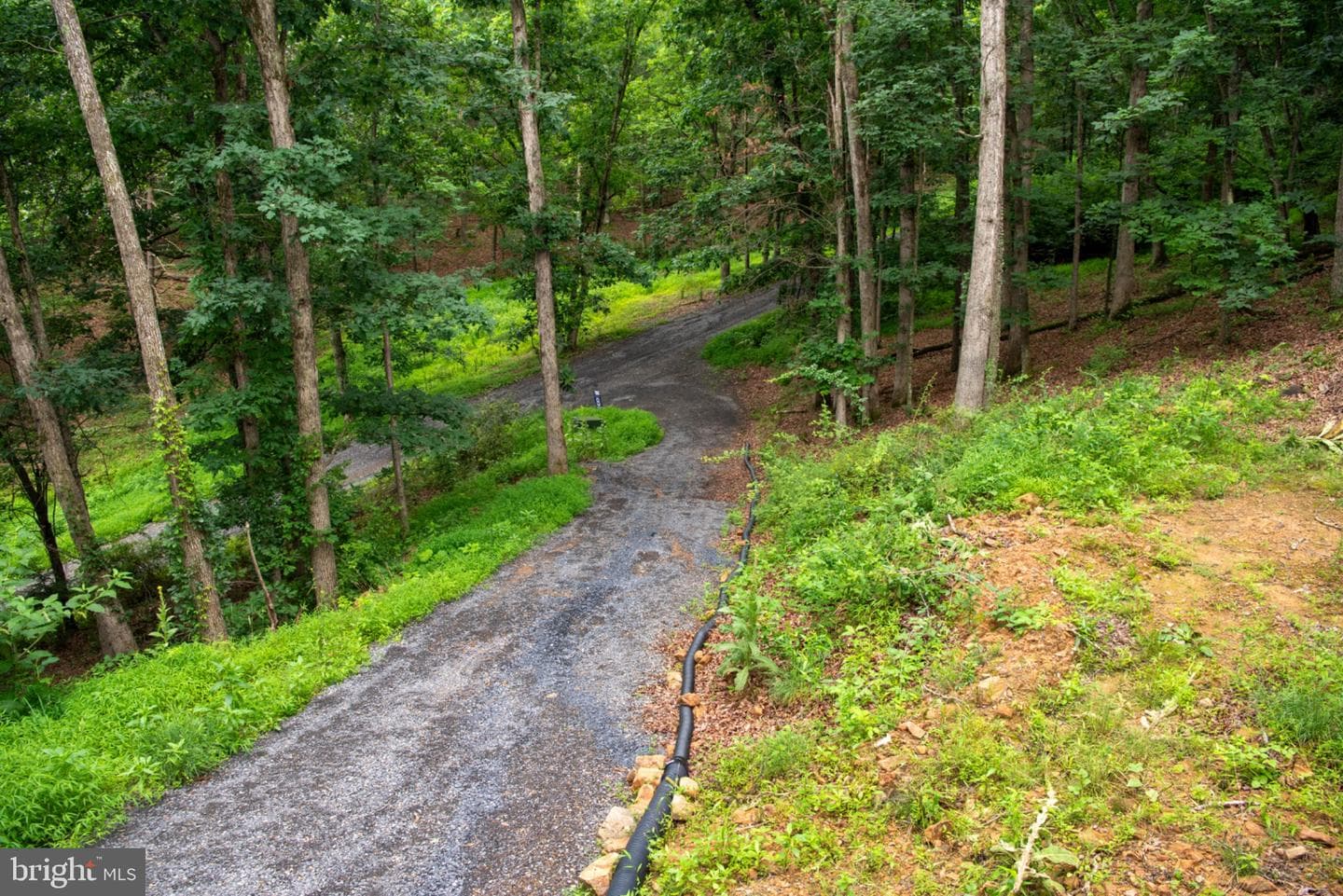 166 Kodiak Court photo 39