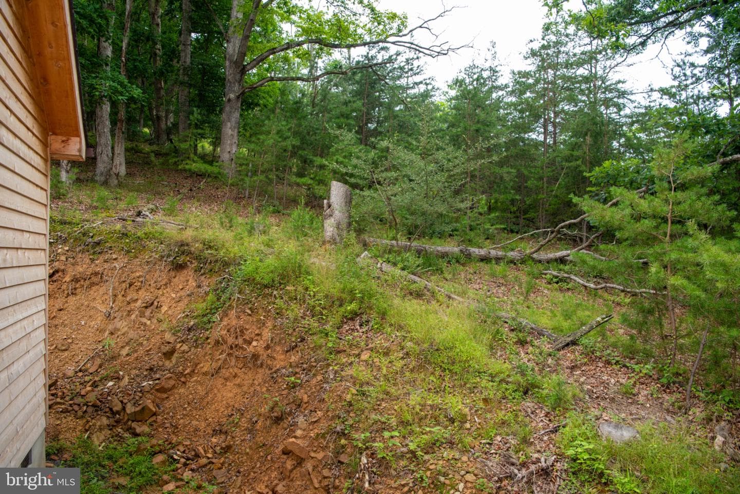 166 Kodiak Court photo 40