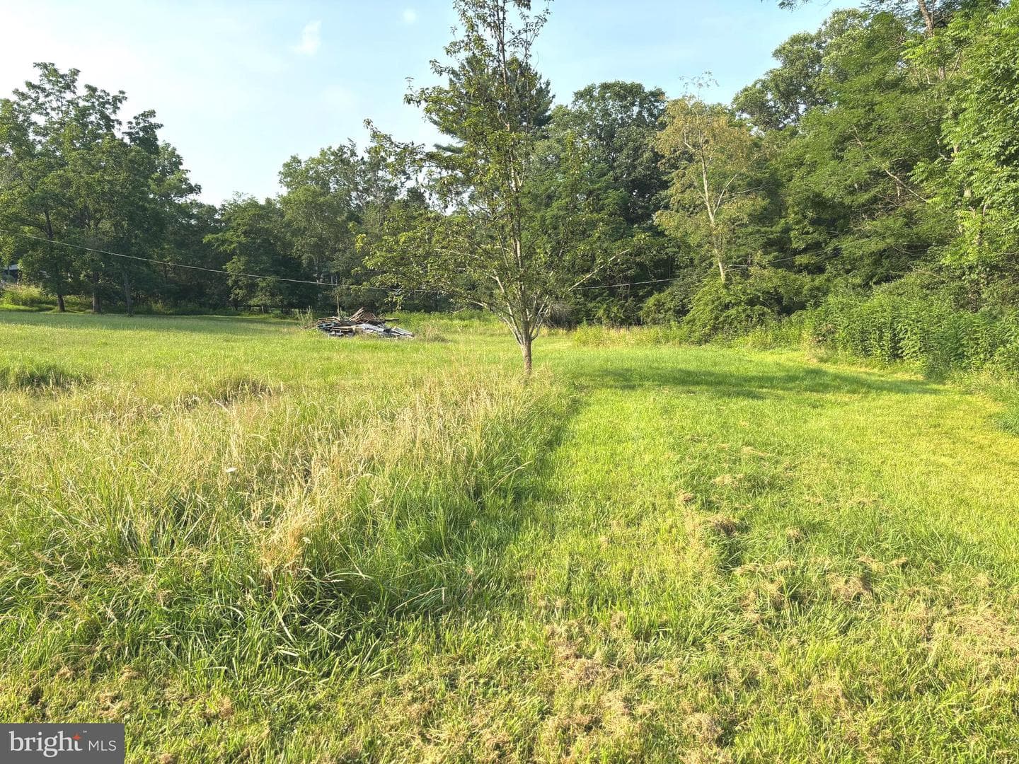2600 Middle Cove Road photo 26