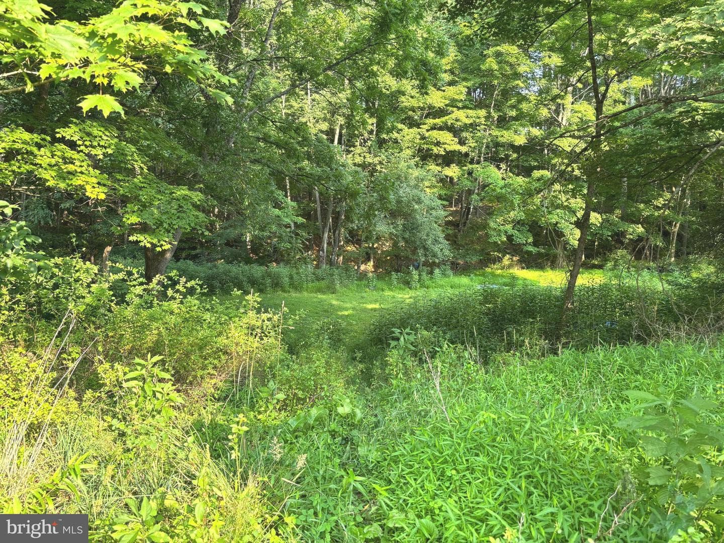 2600 Middle Cove Road photo 27