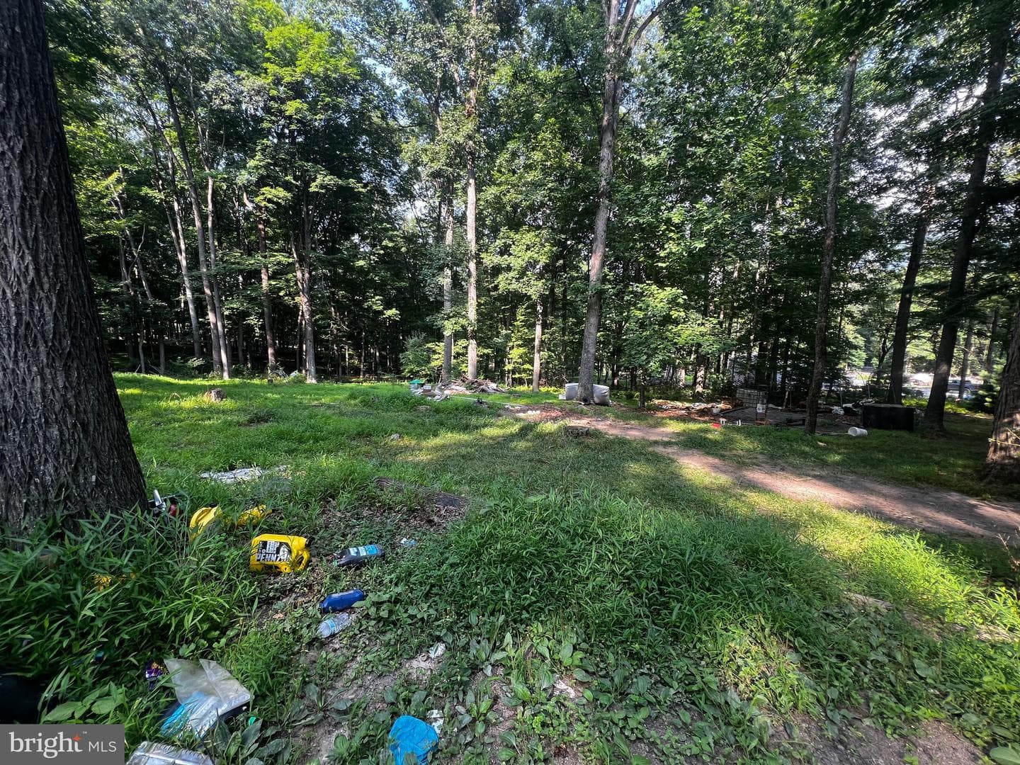 336 Howard Delawder Lane photo 12