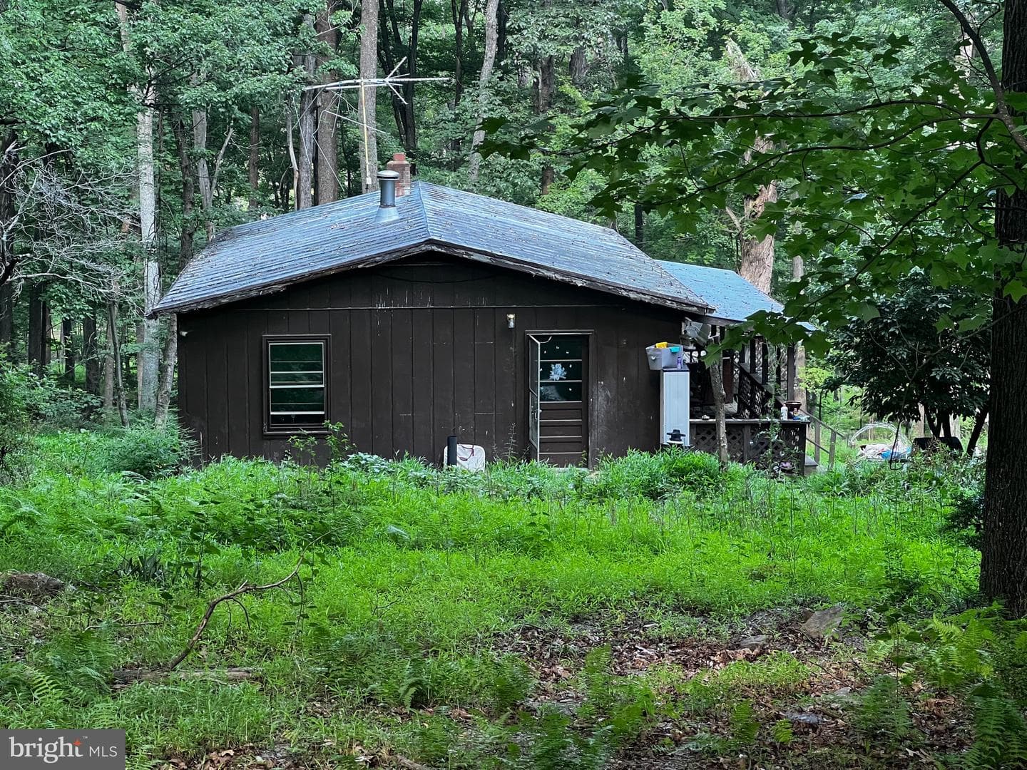 336 Howard Delawder Lane, Mathias