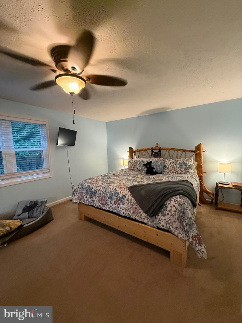 367 Clinton Drive photo 24