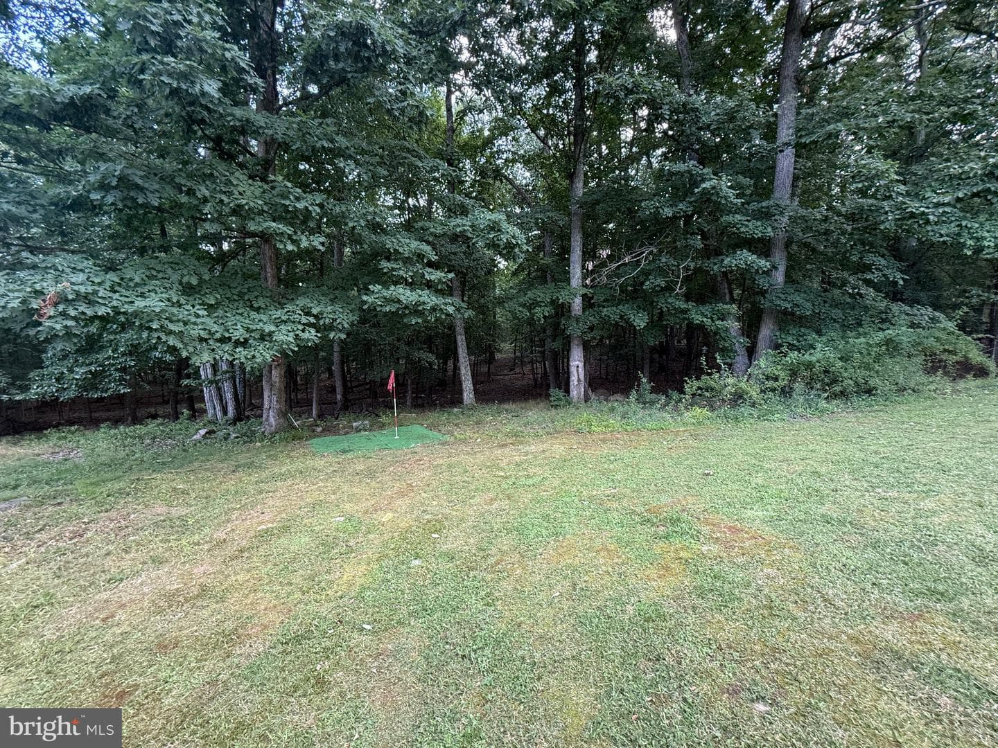 367 Clinton Drive photo 44