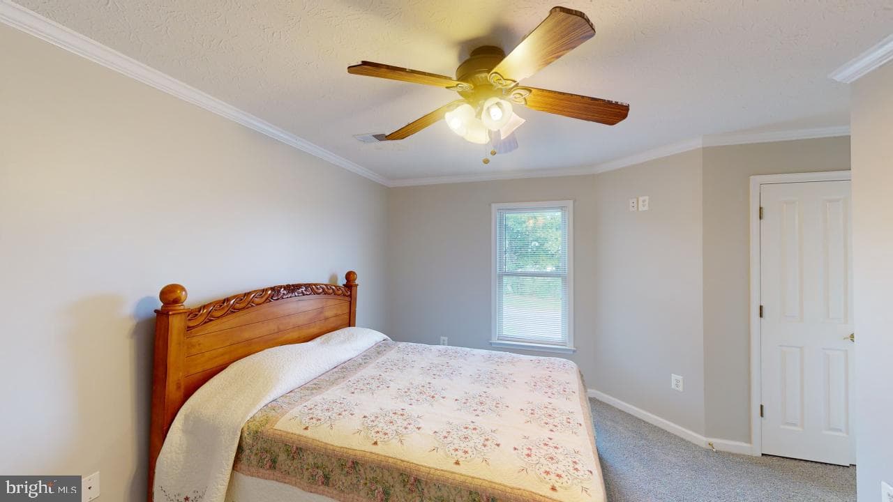 2810 Don Mccauley Road photo 48