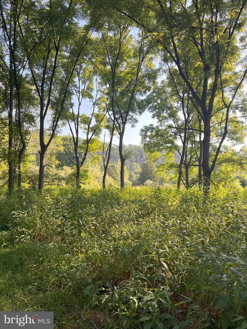 1202 Rushing River Road photo 16