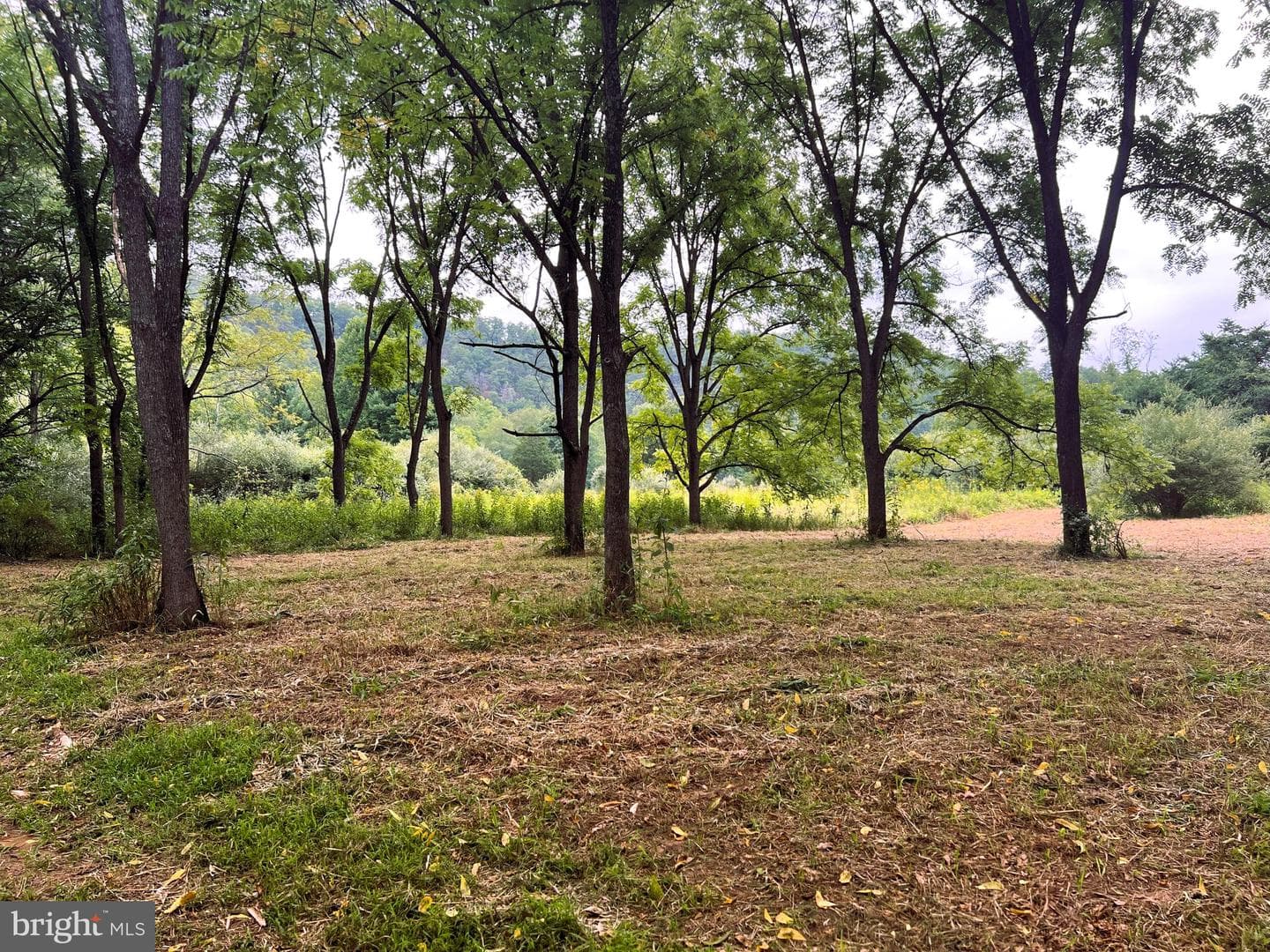 1202 Rushing River Road photo 18