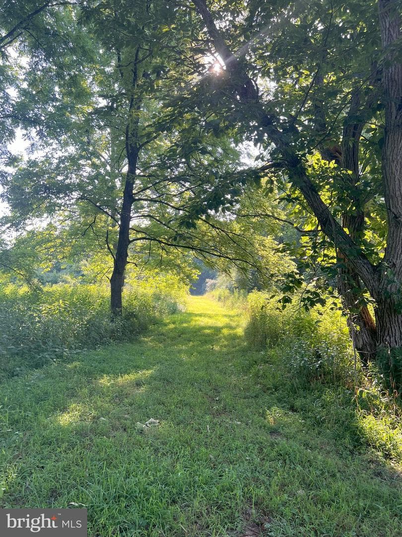 1202 Rushing River Road photo 19