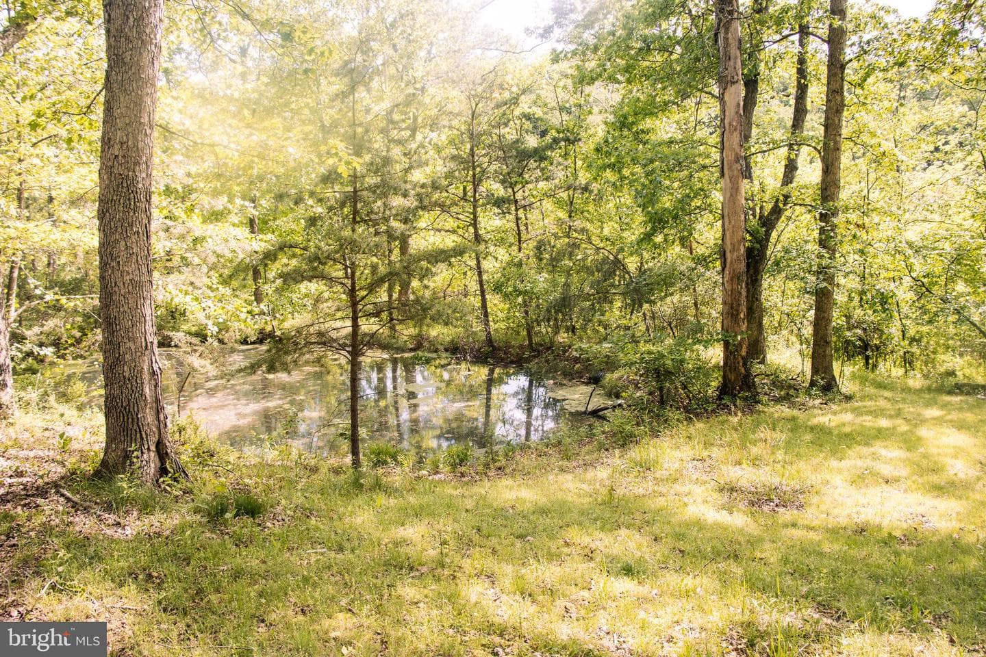 111 Stoney Mountain Overlook Road photo 20
