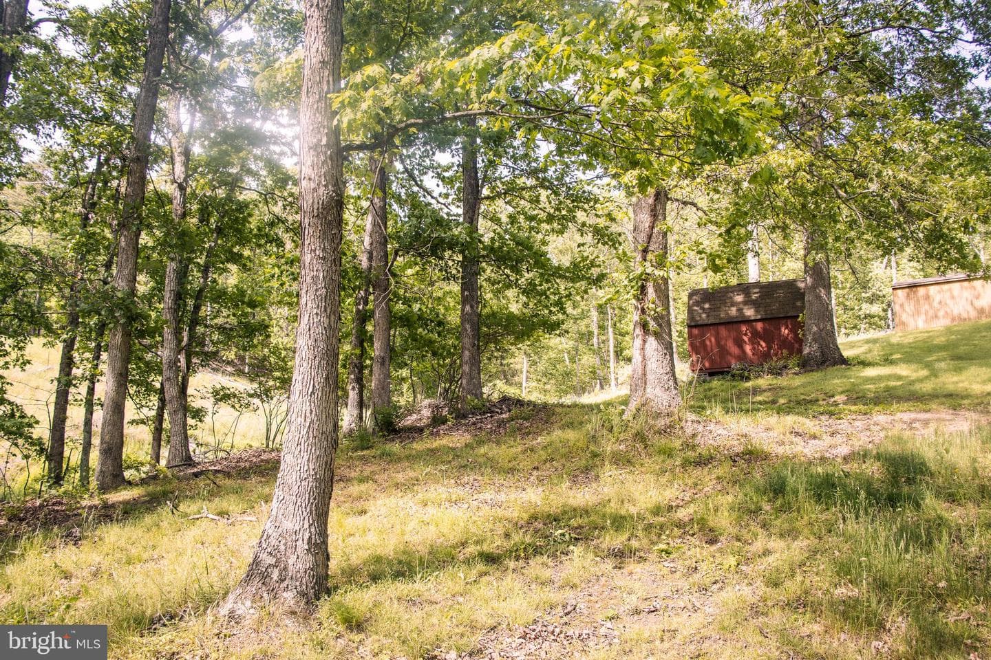 111 Stoney Mountain Overlook Road photo 86