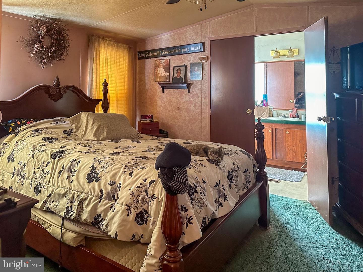 43 Shumak Drive photo 12