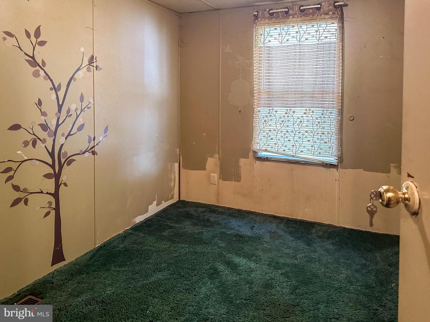 43 Shumak Drive photo 17