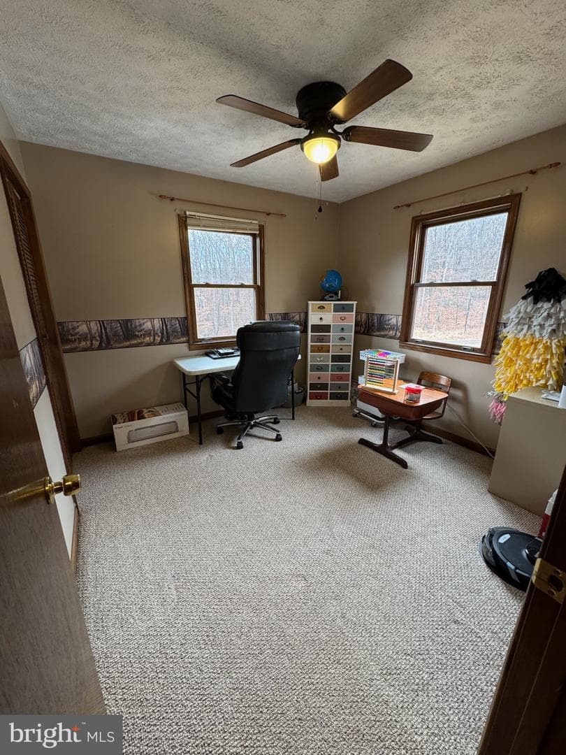 1345 Racey Road photo 24