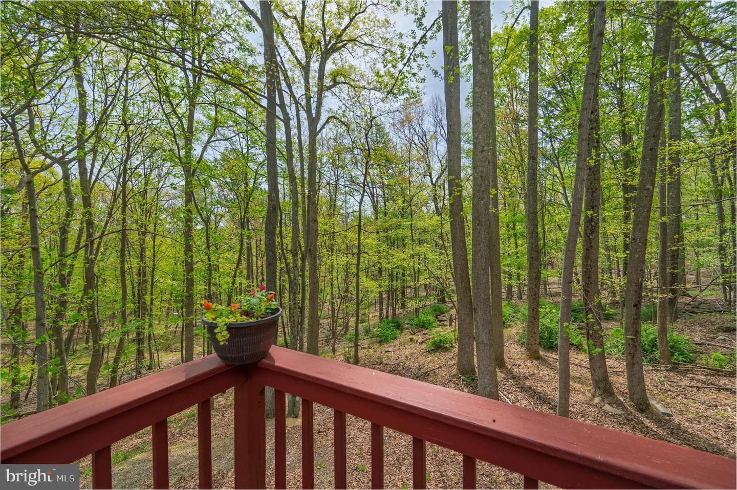 121 Pendragon Court photo 46