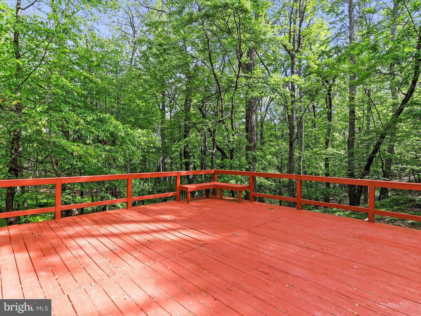 153 Bear Track Road photo 21