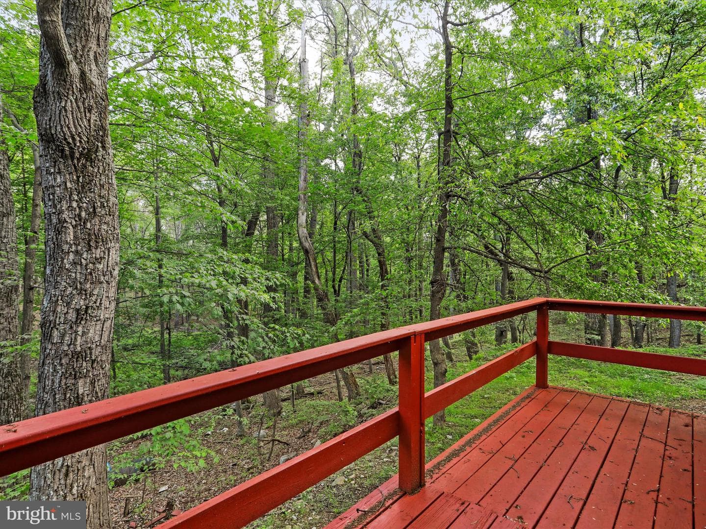 153 Bear Track Road photo 28
