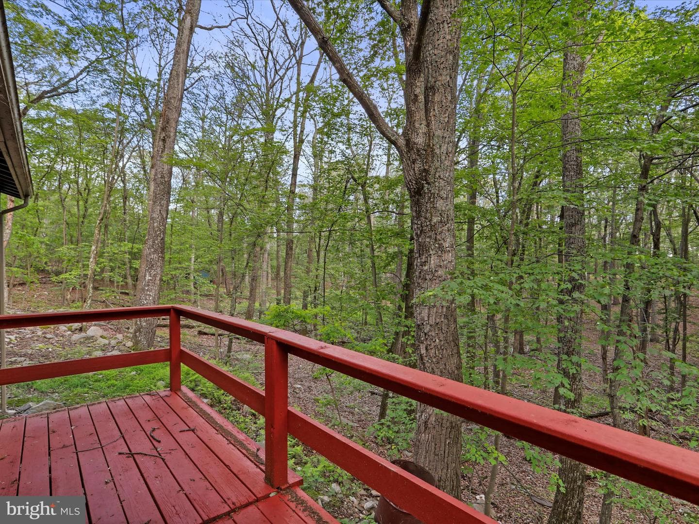 153 Bear Track Road photo 30
