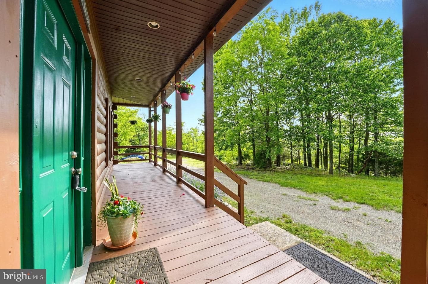 1292 Peaks View Drive photo 25